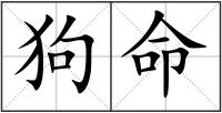 狗命