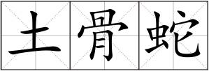 土骨蛇