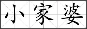 小家婆