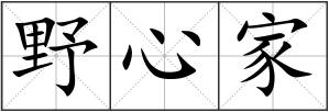 野心家