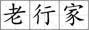 老行家