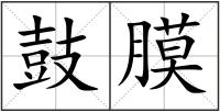 鼓膜