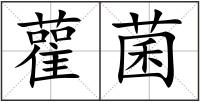 雚菌