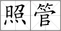 照管