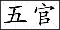 五官