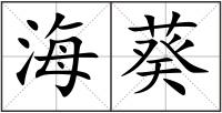 海葵