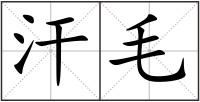 汗毛
