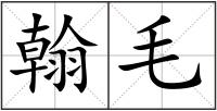 翰毛