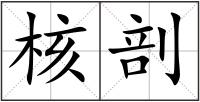 核剖