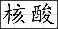 核酸