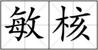 敏核
