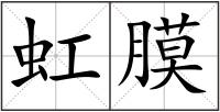 虹膜