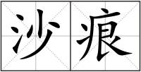 沙痕