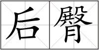 后臀