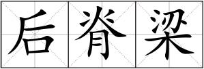后脊梁