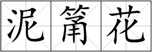 泥筩花