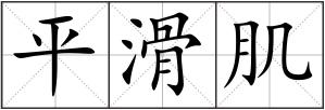 平滑肌