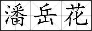 潘岳花