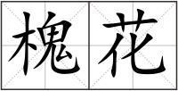 槐花
