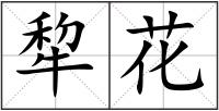 犂花