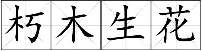 朽木生花
