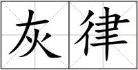灰律