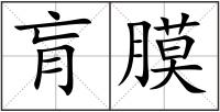 肓膜