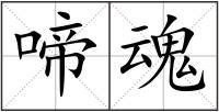 啼魂