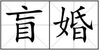 盲婚