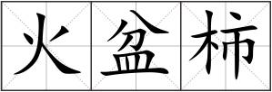 火盆柿