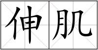 伸肌