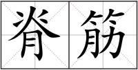 脊筋