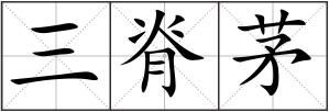 三脊茅