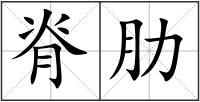 脊肋