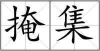 掩集