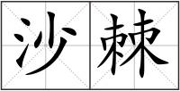 沙棘