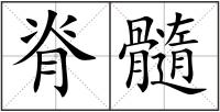 脊髓