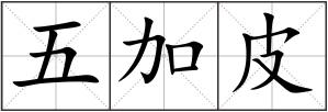 五加皮