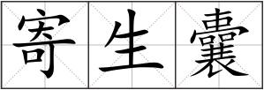 寄生囊