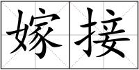 嫁接