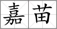嘉苗