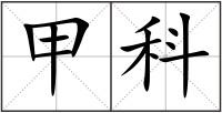 甲科