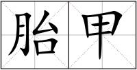 胎甲
