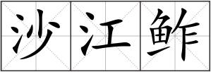 沙江鲊