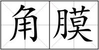角膜