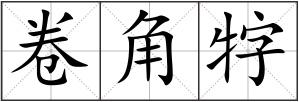 卷角牸
