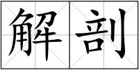 解剖