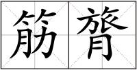 筋膂
