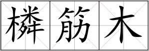 橉筋木