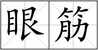 眼筋